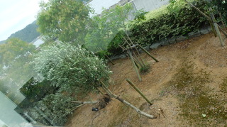 DSCF1667.JPG