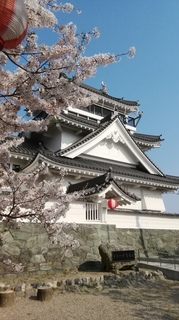 IMG_20200408_152422.jpg