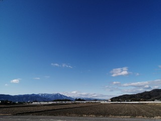 IMG_20230126_095819.jpg