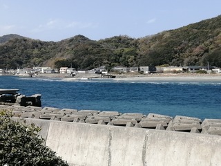IMG_20250414_142608.jpg